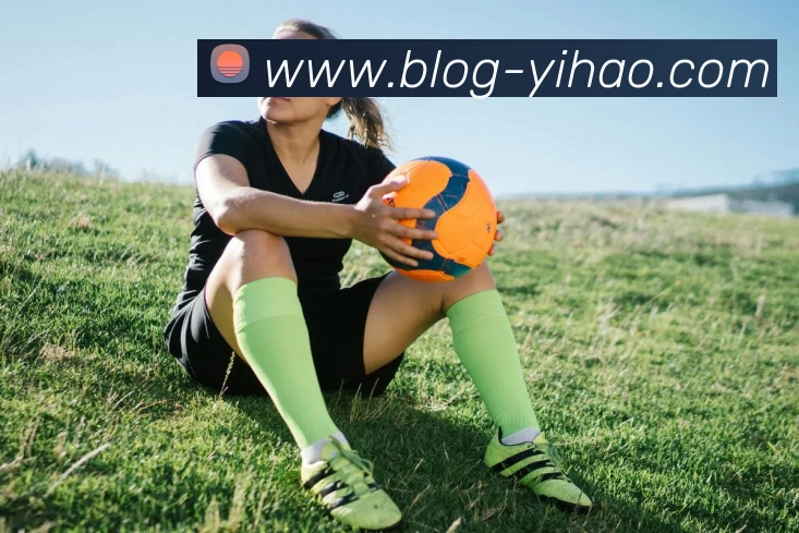 互动解说服务